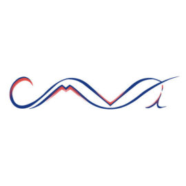 msapplication-TileImage